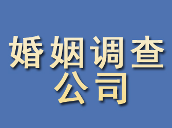 樊城婚姻调查公司